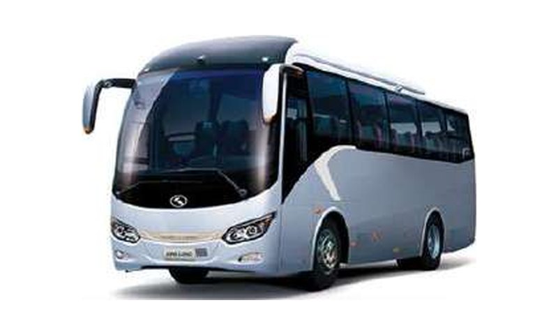 Coach